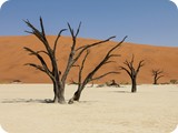 Namibia Discovery-1128